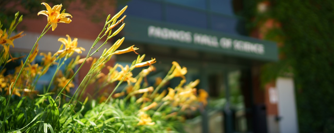 Lilies in Front of Padnos Hall
